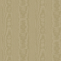 V5 004